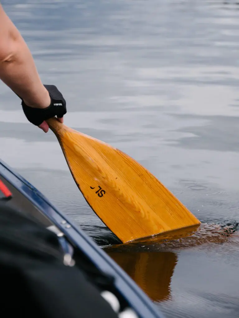 paddle in the water