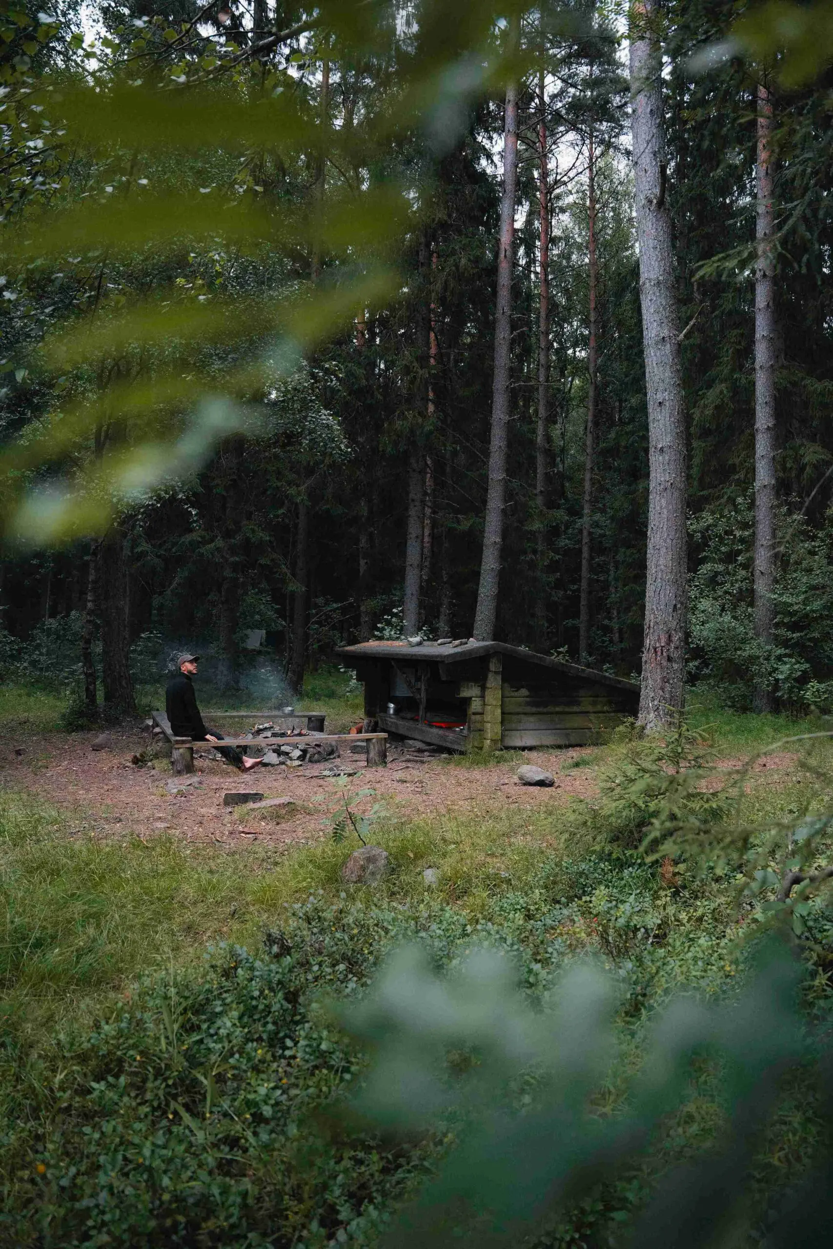 Een houten DANO-shelter verscholen tussen de hoge dennenbomen op een officiële wildkampeerplek in de natuur van Värmland, Zweden.