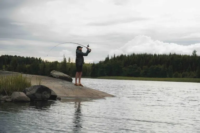 vissen in zweden