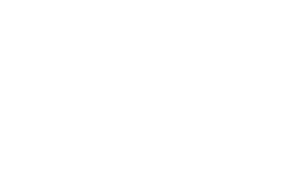 logo the canoe trip