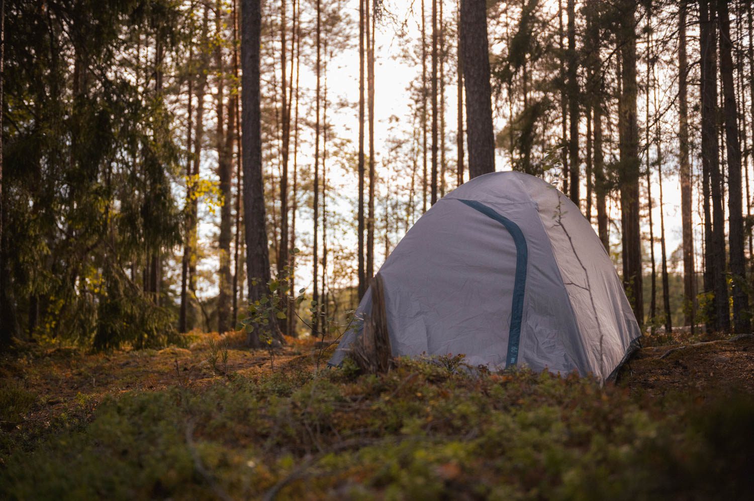 camping tent