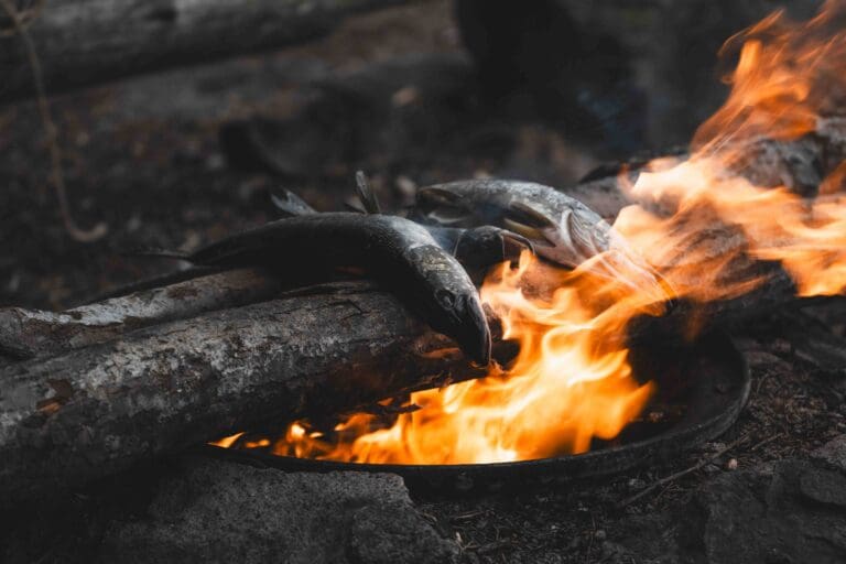 Des poissons pêchés dans un des lacs en Suède