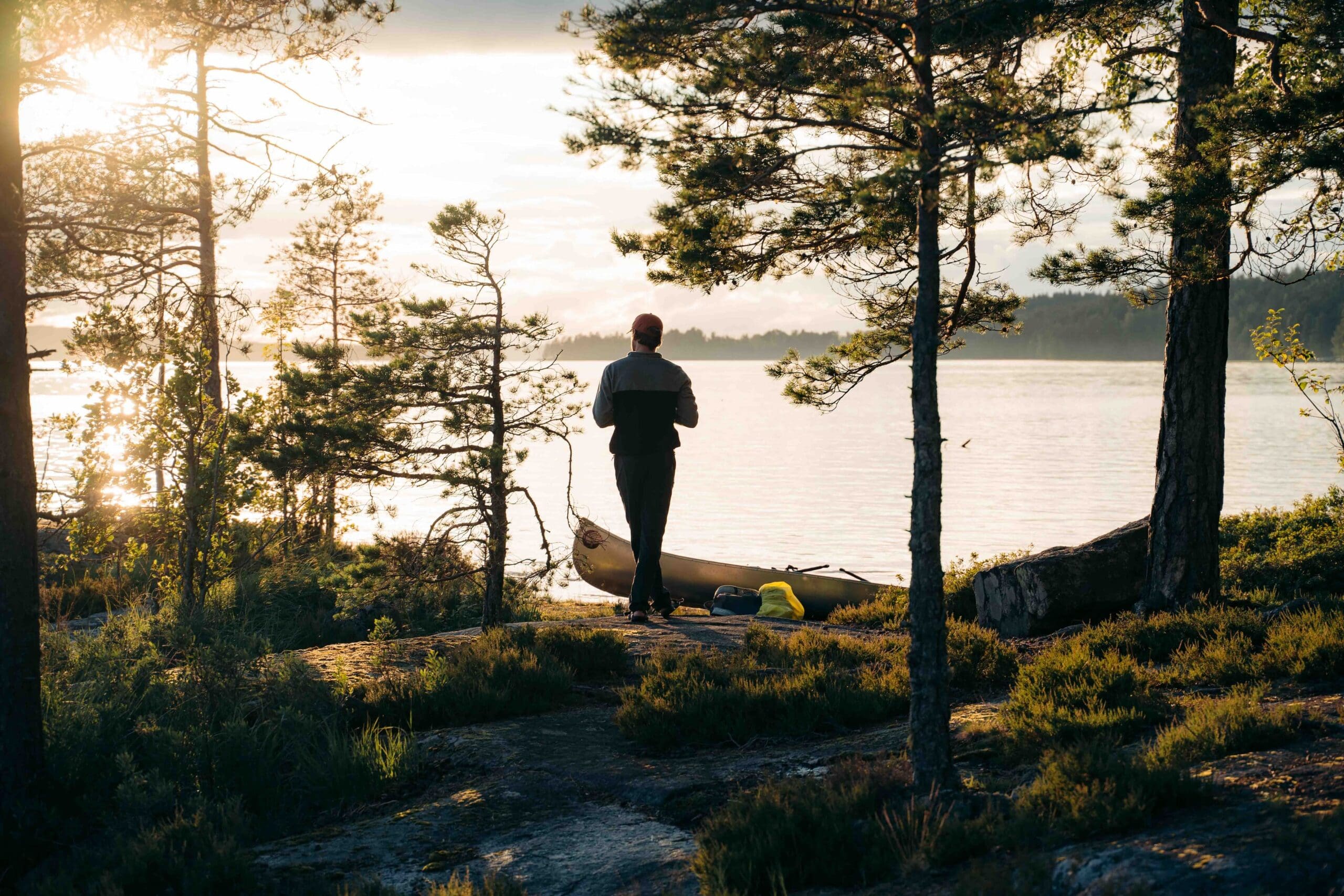 man at sunset in the forest