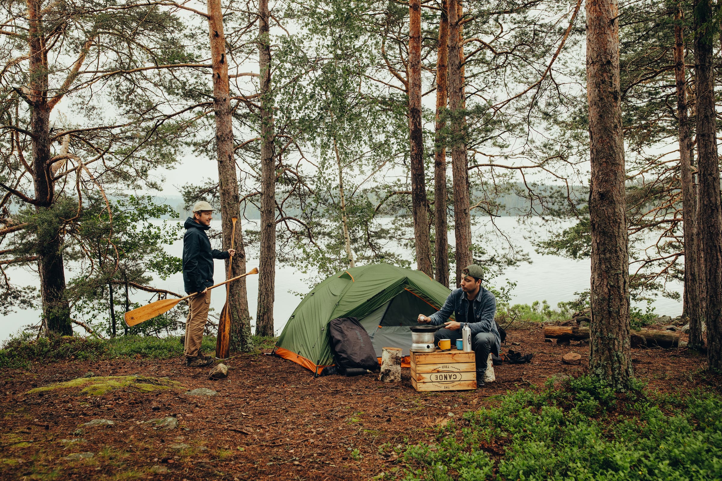 wildkamperen in Zweden